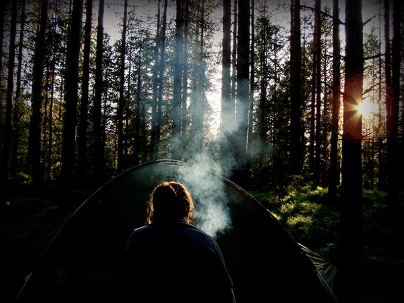 Nocleg w gęstym lesie