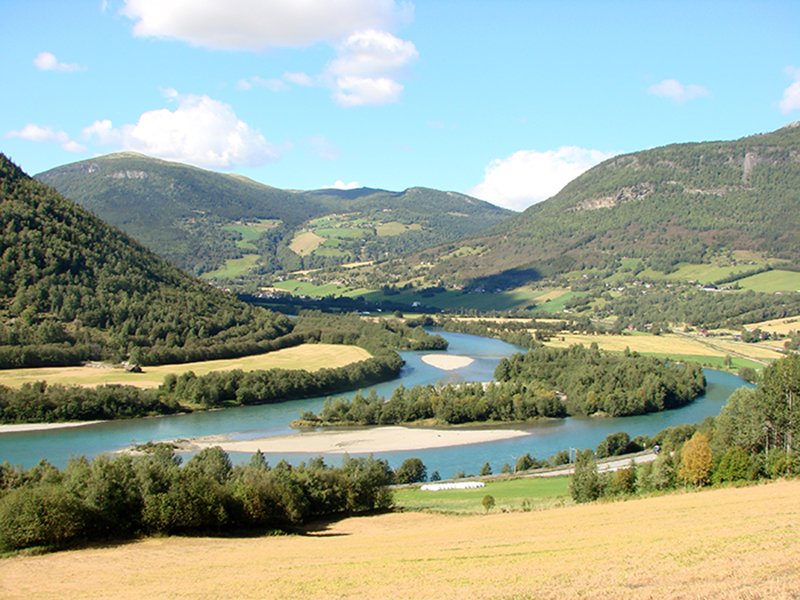 zalesione wzgórza Norwegii