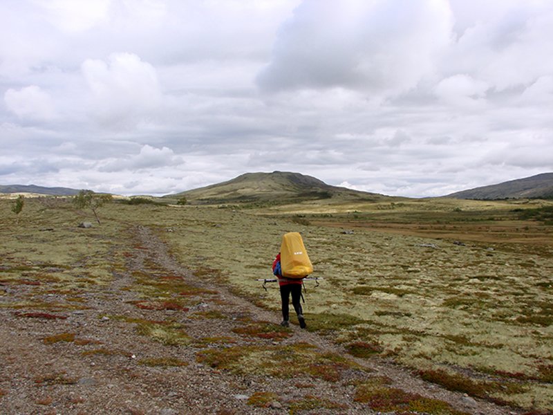 Wędrówka po bezkeresnych terenach Norwegii
