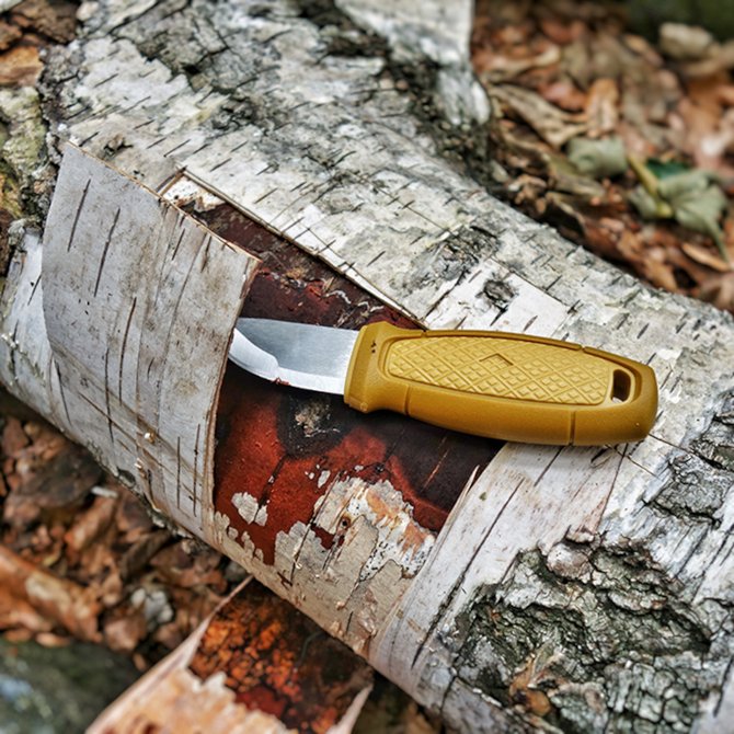 Pozyskanie kory brzozowej na rozpalke za pomocą noża survivalowego