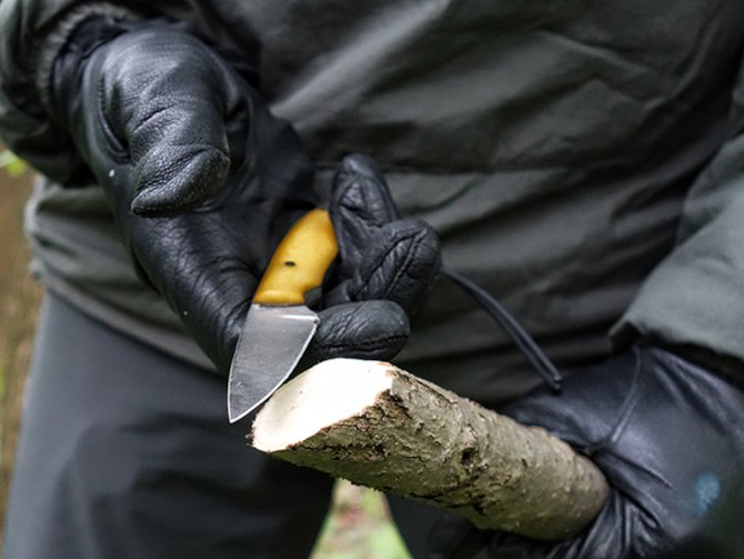 Noż survivalowy i ścięta samosiejka