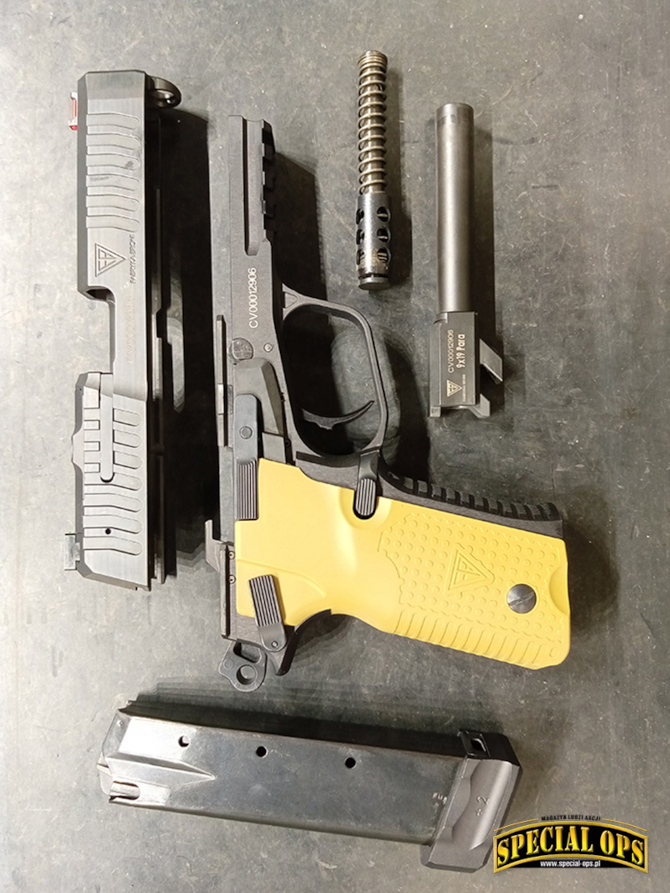 Rozłożony pistolet VIS 100