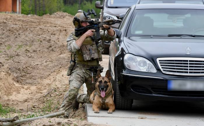 Międzynarodowe ćwiczenia ps&oacute;w bojowych. Foto. Podlaska Policja