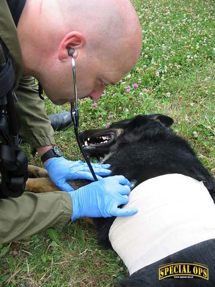 Warsztaty z zakresu ratownictwa K9