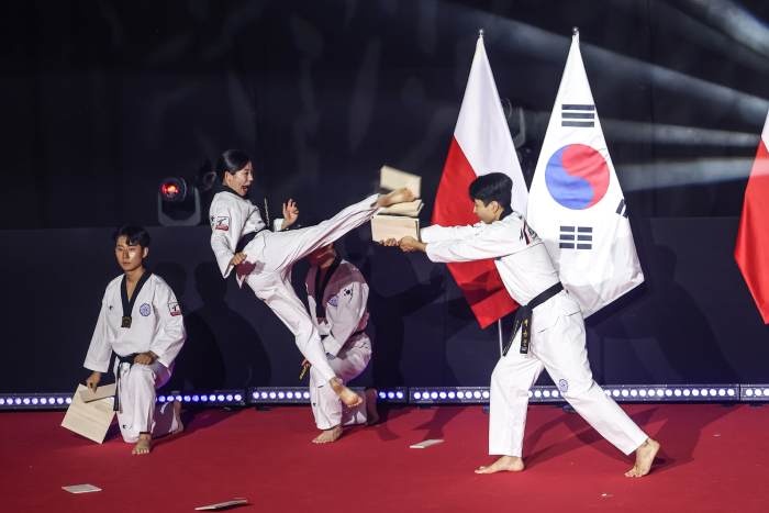 Pokaz mistrzów taekwondo