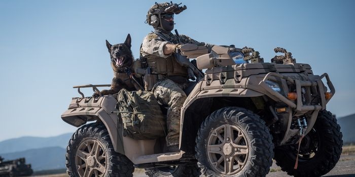 Zesp&oacute;ł K9 austriackiego Jagdkommando. Foto. Bundesheer