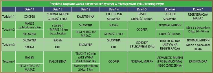 Rozplanowanie aktywności w cyklu treningowym