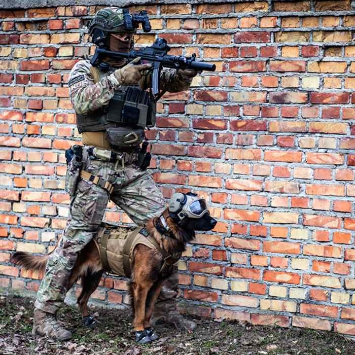 k9 kt 01