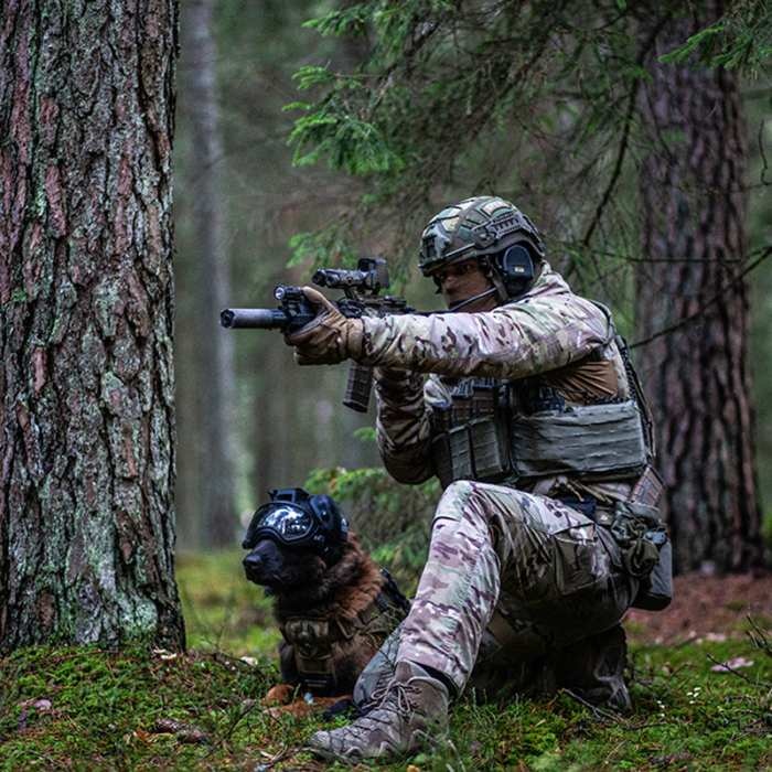 k9 kt 08