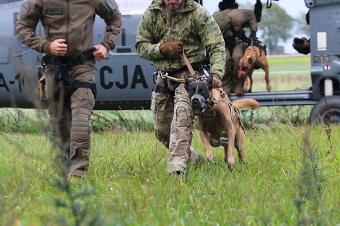 k9 kt 14