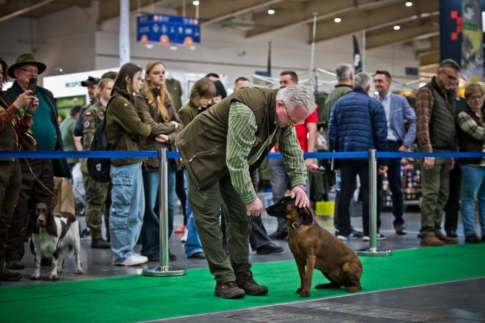 Prezentacja psa myśliwskiego