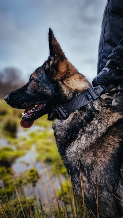 canine tactic akcesoria dla psow 02