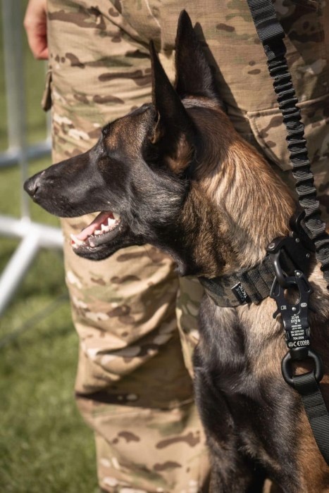 canine tactic akcesoria dla psow 03