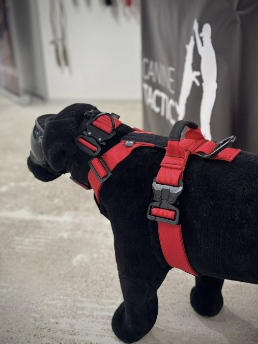 canine tactic akcesoria dla psow 09