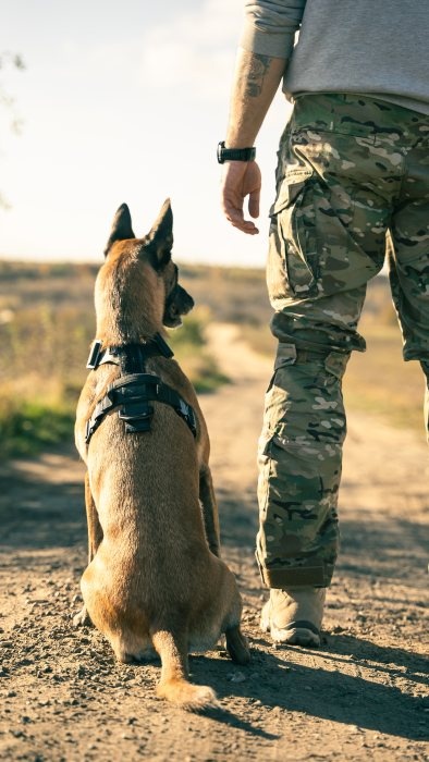canine tactic akcesoria dla psow 10