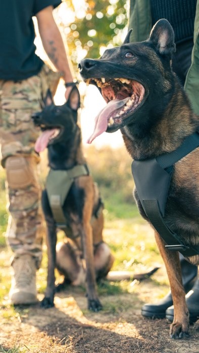 canine tactic akcesoria dla psow 11