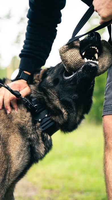 canine tactic akcesoria dla psow 12