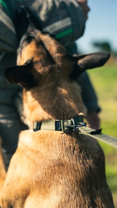 canine tactic akcesoria dla psow 13