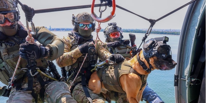 Foto. Policja.pl