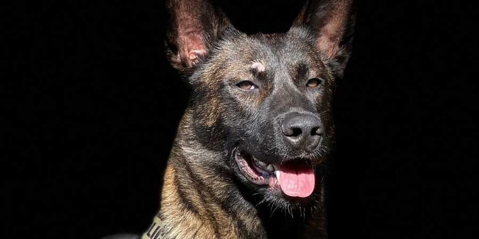 Foto.&nbsp; Policja Warmińsko-Mazurska