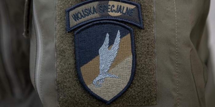 Fot. Maciej Nędzyński / MON