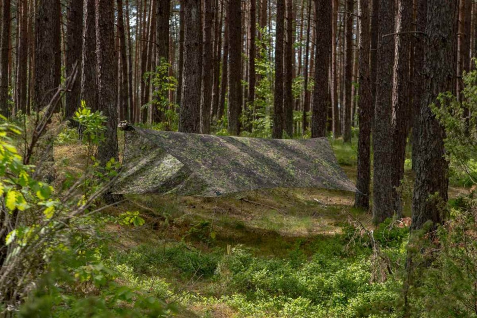 heksa f2 terskog 08 1920x1280