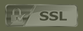 SSL logo wyszarzone